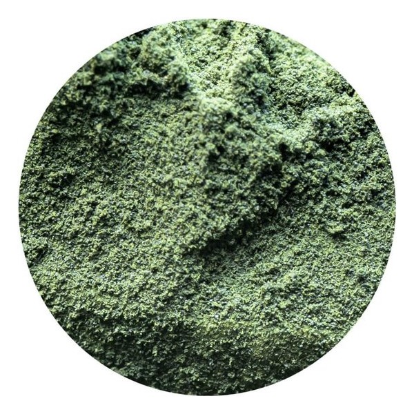 Chlorella Poeder Biologisch 100 gram