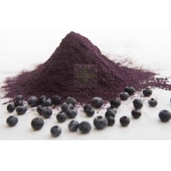 Blauwe bessen poeder |biologisch| 125 gram