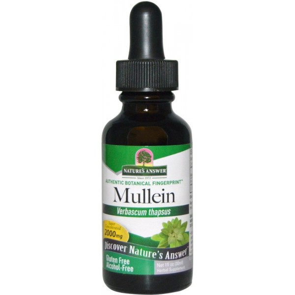 Mullein, Alcohol-Free, 2000 mg (30 ml) – Nature's Answer