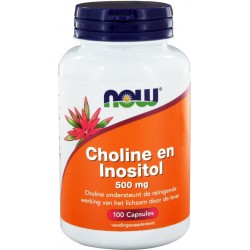 Now Foods - Choline en Inositol - 250 mg Choline en 250 mg Inositol per dosering - 100 Capsules