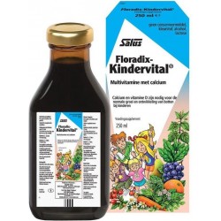 Floradix Kindervital