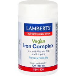 Lamberts - Iron IJzer complex Vegan - 120 tabletten