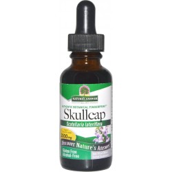 Skullcap, Alcohol-Free, 2000 mg (30 ml) - Nature's Answer