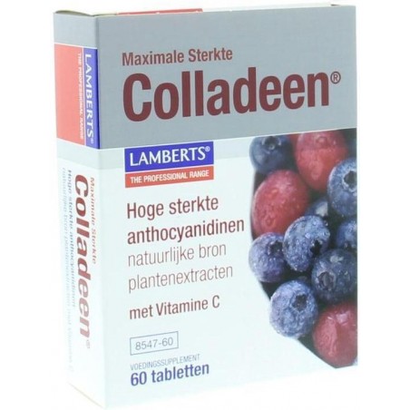 Lamberts Colladeen /L8547 Tabletten 60 st