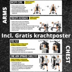 Trainingsbank - Ironmaster Super Bench