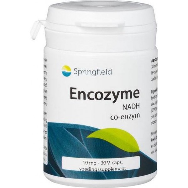 Springfield Encozyme NADH 10 mg