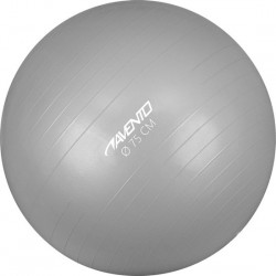 Avento Fitness/Gymbal - Ø 75 cm - Zilver - 75