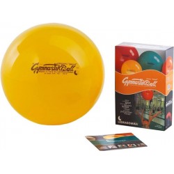 Fitnessbal - Ledragomma - Funeffects - 42 cm - inclusief pompje