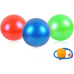 AA Commerce Fitnessbal Gymnastiek - zitbal - met pomp - Ø 75 cm