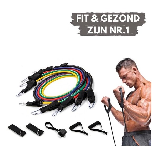 PRO VARIANT - Fitness elastiek set - Fitness elastiek met handvat - Weerstandsbanden fitness set