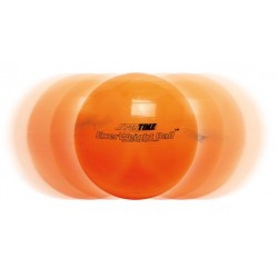 Spordas Exer Weight Ball | Gewichtsbal | Evenwichtsbal | 55 cm dia