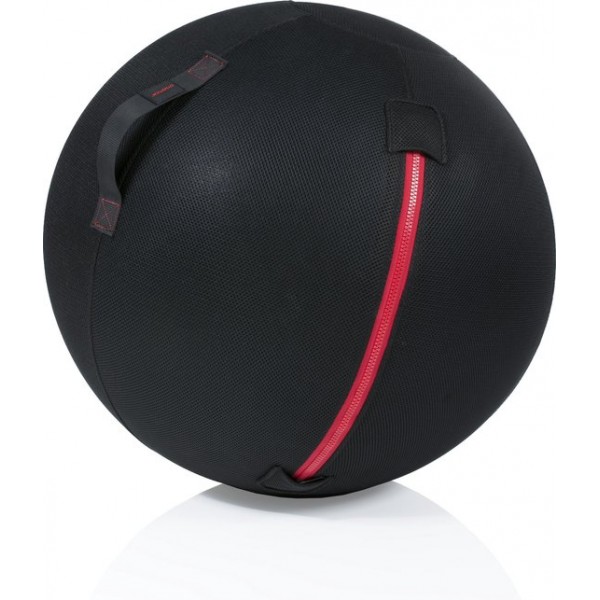 Gymstick Office Ball - 65 cm - Met Online Trainingsvideo's