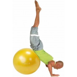 Gymnic Plus 65 BRQ - Zitbal en fitnessbal - Geel - Ø 65 cm