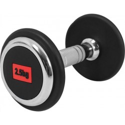 Dumbell 2,5 kg (1 x 2,5 kg)