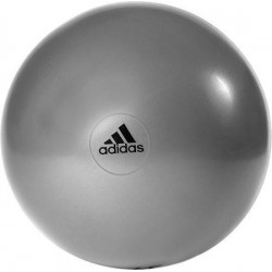 Gymbal Adidas 65cm solid grey