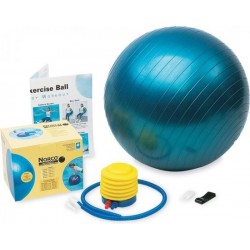 Therapieballen - 85 cm