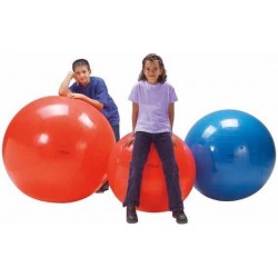 Gymnic Physio Gymnic 95 - Fitnessbal - Blauw - Ø 95 cm