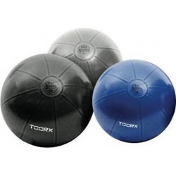 Toorx Gymbal PRO - 500 kg Belastbaarheid - 55 cm - Blauw - Fitness Ball - Stability Ball