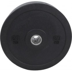 Hi-Temp Bumper Plate 20kg