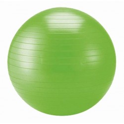 Schildkrot Fitnessbal - Ø 75 cm - Groen