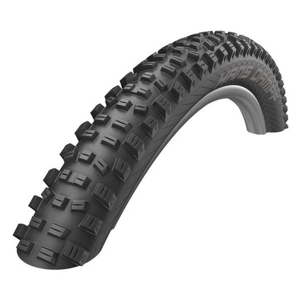 SCHWALBE Hans Dampf Performance Vouwband TLR E-25 Addix 29x2.35", black Bandenmaat 60-622 | 29x2,35"