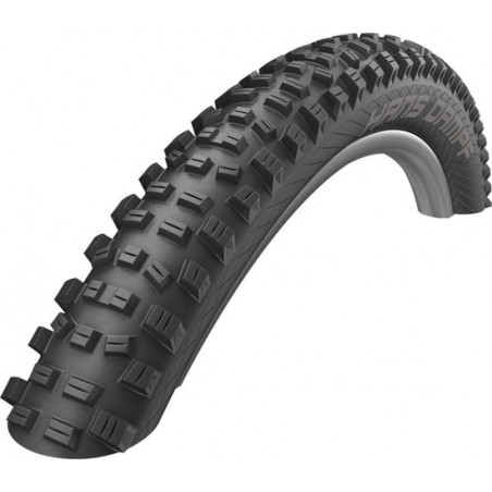 SCHWALBE Hans Dampf Performance Vouwband TLR E-25 Addix 29x2.35", black Bandenmaat 60-622 | 29x2,35"