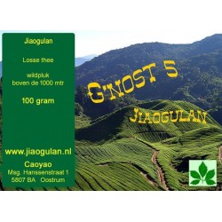 Jiaogulan 100 gram Wildpluk G'nost 5