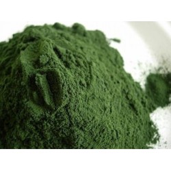 Spirulina poeder 100g