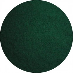 Spirulina Poeder Biologisch 100 gram