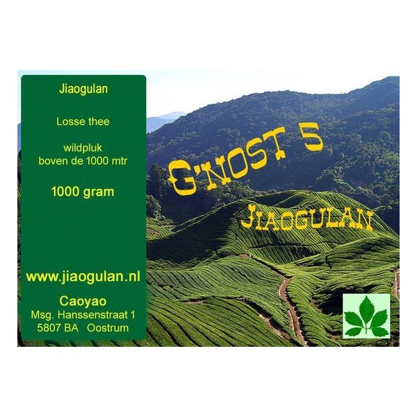 Jiaogulan 1000 gram Wildpluk G'nost 5