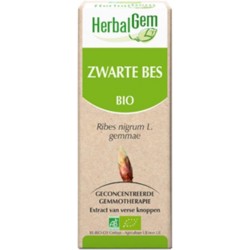 Zwarte bes - Moedermaceraat - Herbalgem | 15 ml