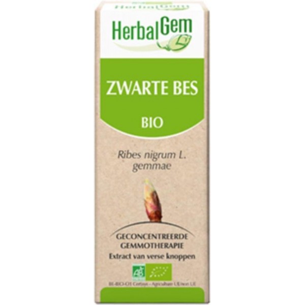 Zwarte bes - Moedermaceraat - Herbalgem | 15 ml