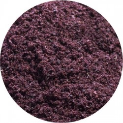 Acai Poeder gevriesdroogd Biologisch 100 gram