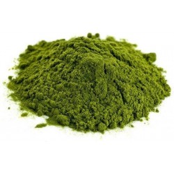 Chlorella Poeder Biologisch 1 kg